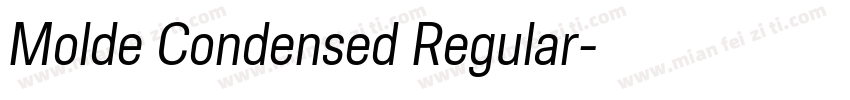 Molde Condensed Regular字体转换